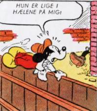 Kilde: Wright (1945) ZM 45-01-21; AA 7/1949